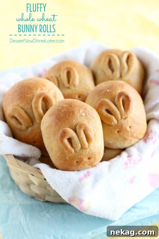 Fluffy Whole-Wheat Bunny Dinner Rolls for Spring Celebrations 2 Fluffy Whole Wheat Bunny Rolls