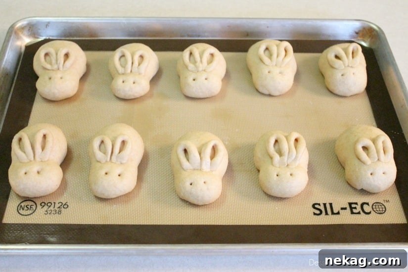 Fluffy Whole-Wheat Bunny Dinner Rolls for Spring Celebrations 12 Fluffy Whole Wheat Bunny Rolls