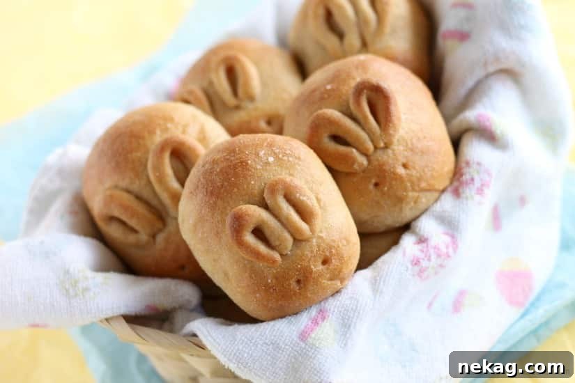 Fluffy Whole-Wheat Bunny Dinner Rolls for Spring Celebrations 13 Fluffy Whole Wheat Bunny Rolls