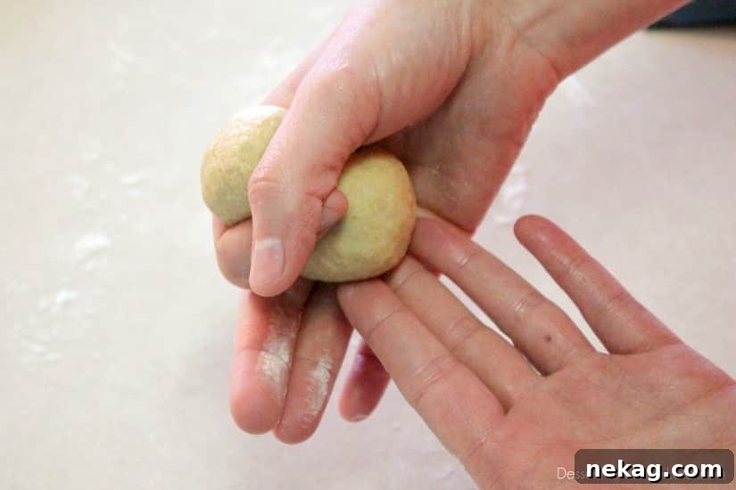 Fluffy Whole-Wheat Bunny Dinner Rolls for Spring Celebrations 9 Fluffy Whole Wheat Bunny Rolls