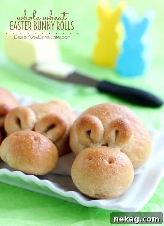 Whole Wheat Easter Bunny Dinner Rolls for Spring Baking 2 Whole Wheat Easter Bunny Rolls