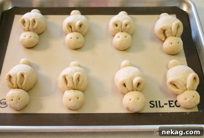 Whole Wheat Easter Bunny Dinner Rolls for Spring Baking 12 Whole Wheat Easter Bunny Rolls