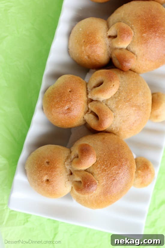 Whole Wheat Easter Bunny Dinner Rolls for Spring Baking 3 Whole Wheat Easter Bunny Rolls
