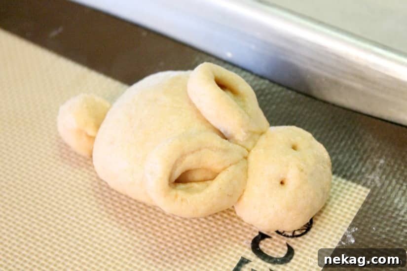 Whole Wheat Easter Bunny Dinner Rolls for Spring Baking 5 Whole Wheat Easter Bunny Rolls
