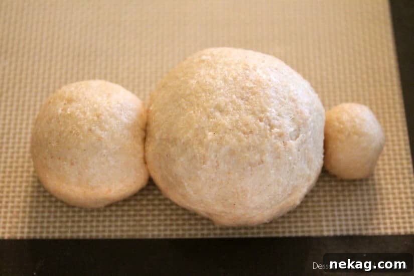 Whole Wheat Easter Bunny Dinner Rolls for Spring Baking 9 Whole Wheat Easter Bunny Rolls