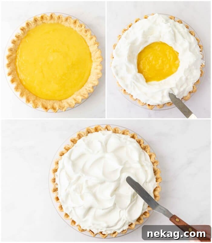 Classic Lemon Meringue Pie Recipe with Video Tutorial 10 Steps to assemble lemon meringue pie.