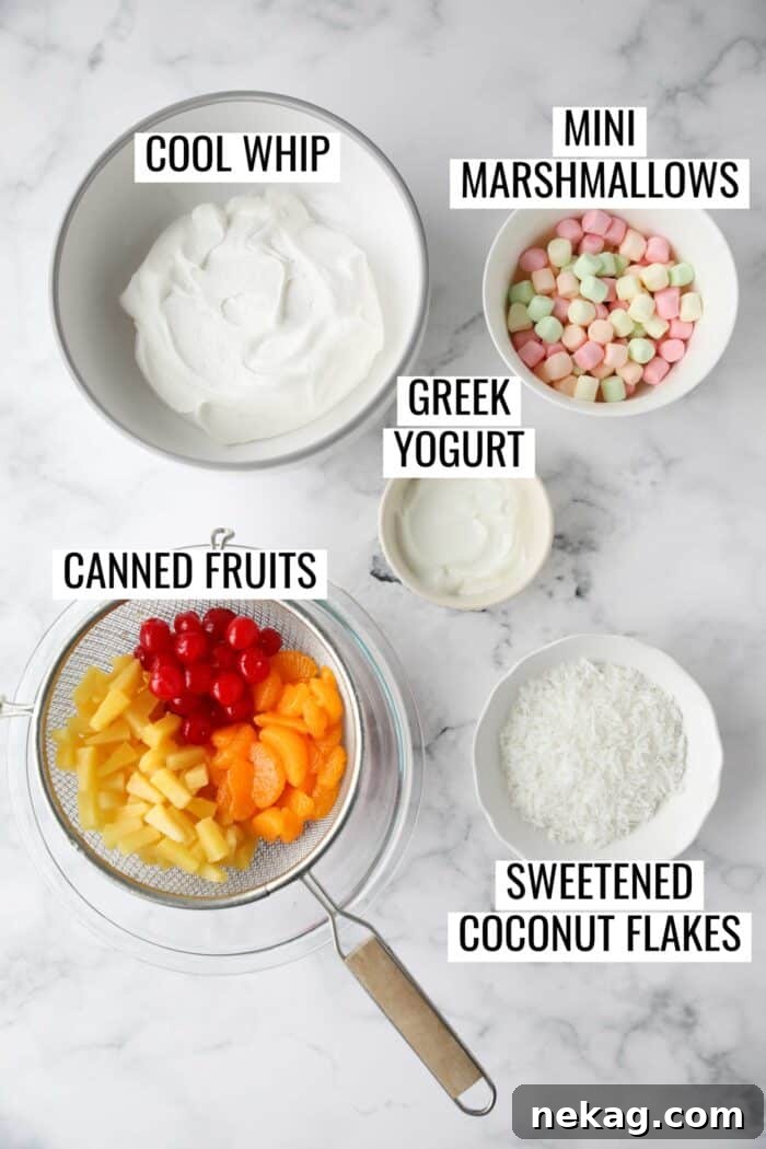 Labeled ingredients needed to make Ambrosia Fruit Salad.