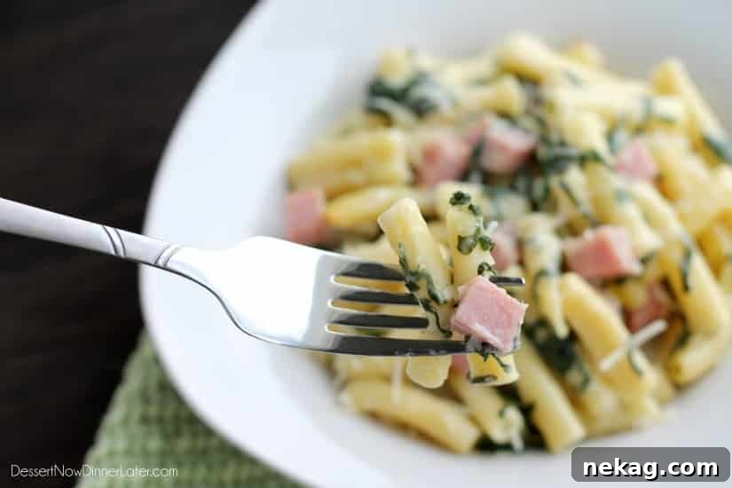 Creamy Ham and Cheese Pasta Bake with Golden Crust 3 Ham & Cheese Pasta Bake