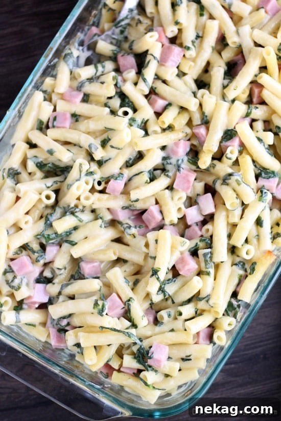 Creamy Ham and Cheese Pasta Bake with Golden Crust 4 Ham & Cheese Pasta Bake