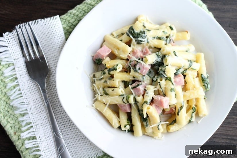 Creamy Ham and Cheese Pasta Bake with Golden Crust 5 Ham & Cheese Pasta Bake