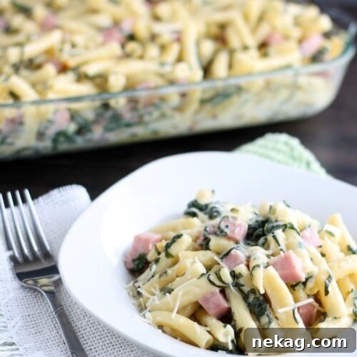 Creamy Ham and Cheese Pasta Bake with Golden Crust 6 Ham & Cheese Pasta Bake