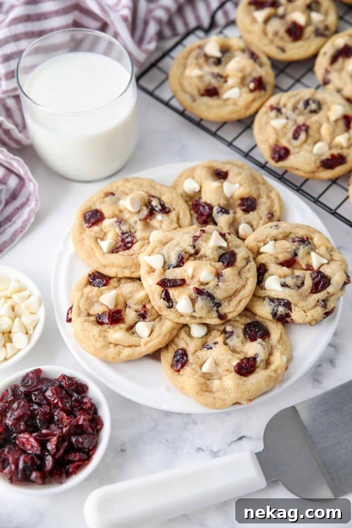 Plate of cranberry white chocolate chip cookies.