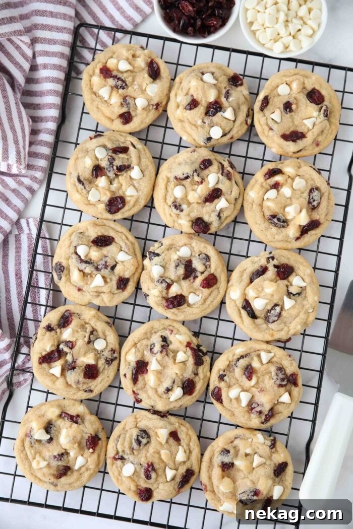 Wire cooling rack with white chocolate chip cranberry cookies.