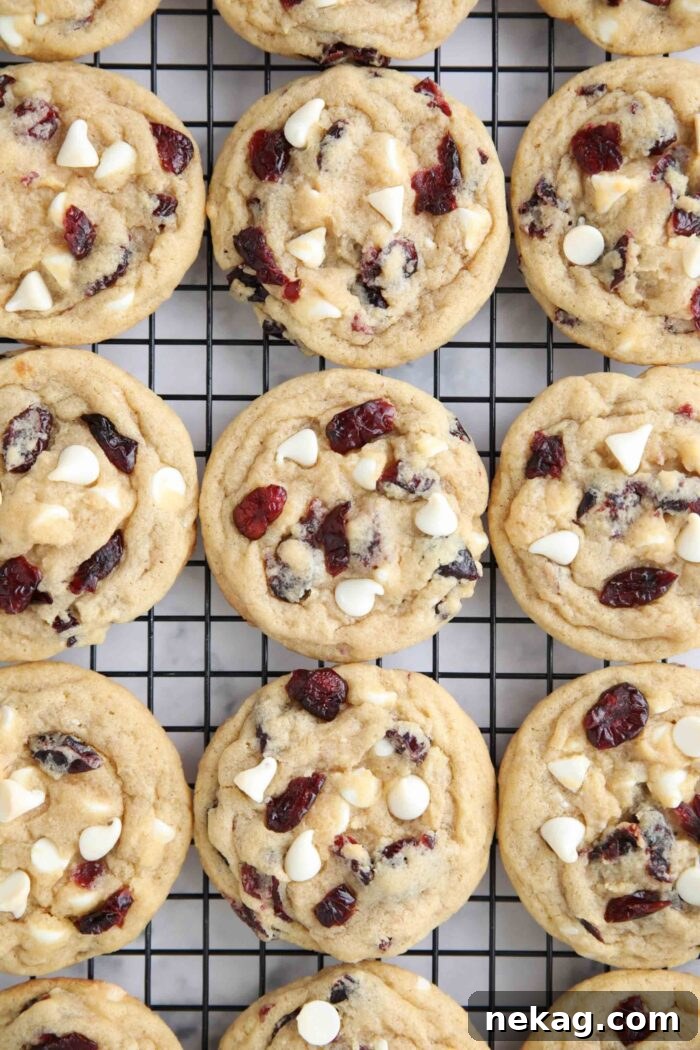 Close up of cranberry white chocolate cookies on a wire cooling rack.