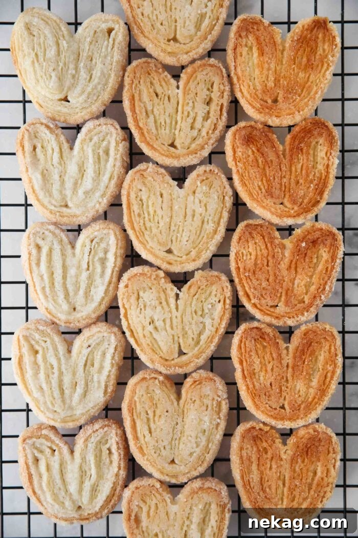 Two-Ingredient Palmiers: Crispy Puff Pastry Cookies 10 Color variations of palmier cookies from lightest to darkest based on baking method.