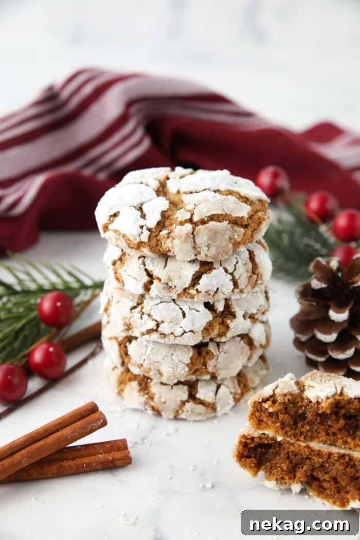 Stack of gingerbread crinkle cookies with powdered sugar cracks.