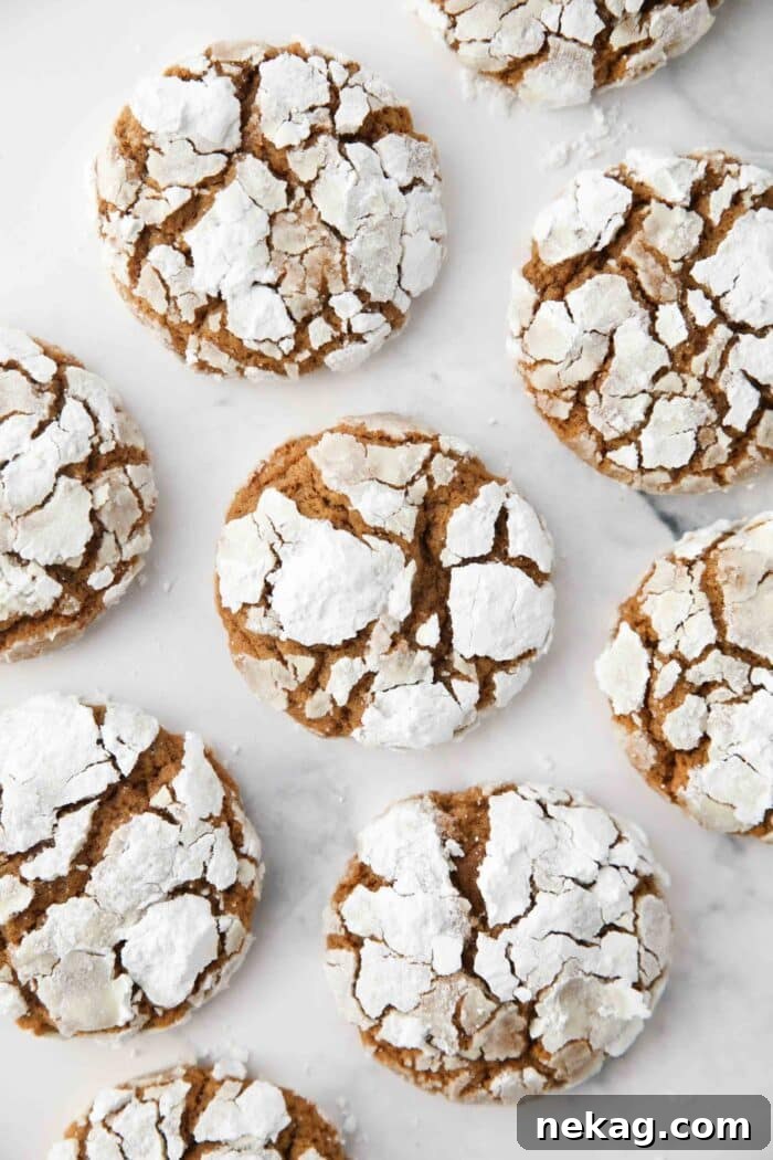 Close up top view of gingerbread Christmas crinkle cookies.