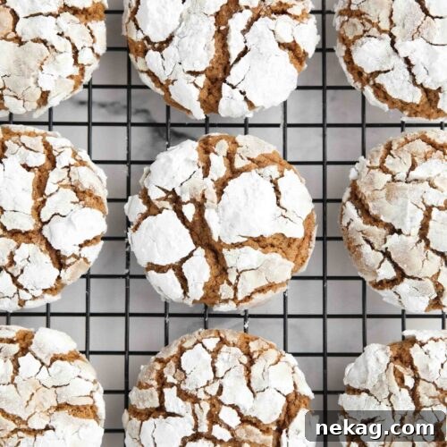 Gingerbread Christmas crinkle cookies on a wire cooling rack.