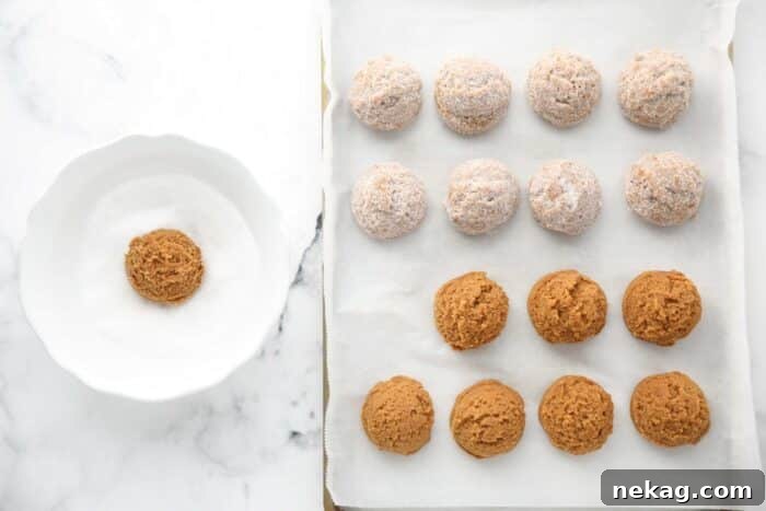 Coating gingerbread cookie dough with granulated sugar.