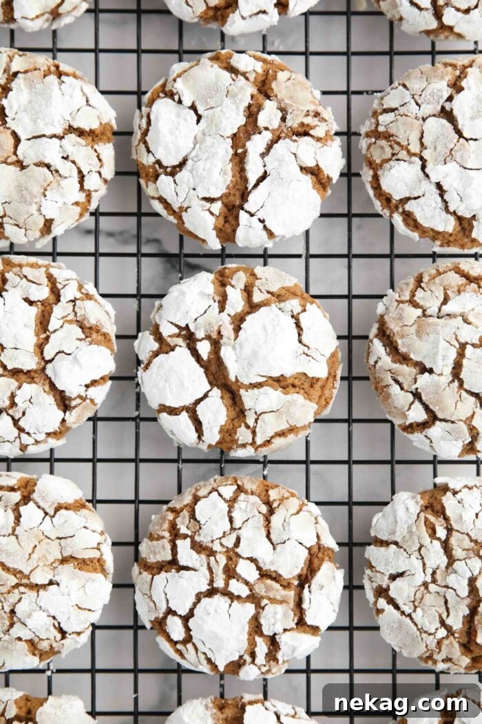 Gingerbread Christmas crinkle cookies on a wire cooling rack.