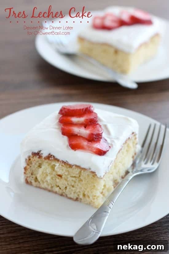 Classic Tres Leches Cake Recipe: Moist Milk-Soaked Sponge 12 Slice of tres leches cake topped with whipped cream and strawberries on a plate with a fork.