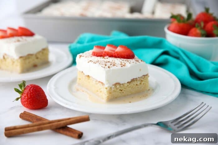 Classic Tres Leches Cake Recipe: Moist Milk-Soaked Sponge 9 Slice of tres leches cake on a plate with whipped cream, cinnamon, and sliced strawberries on top.