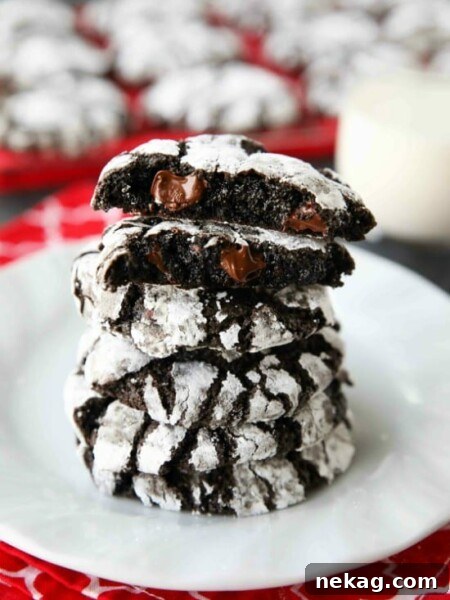 Chocolate Crinkle Cookies are soft and fudgy on their own, but these have chocolate chips added for twice the chocolatey goodness! Enjoy these Double Chocolate Crinkle Cookies for Christmas or any time of year!