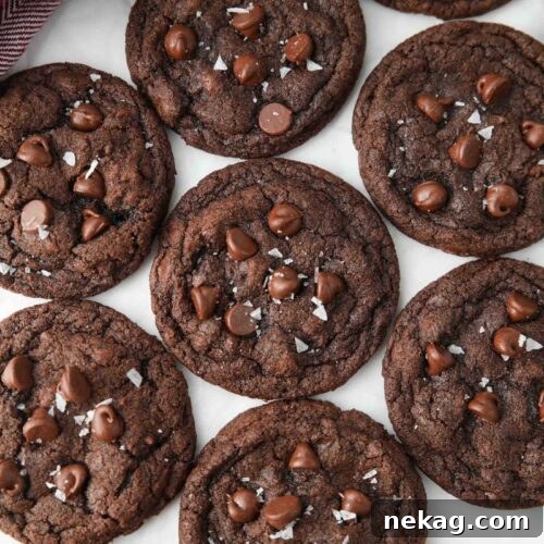 Top view of chocolate cookies with chocolate chips and sea salt.