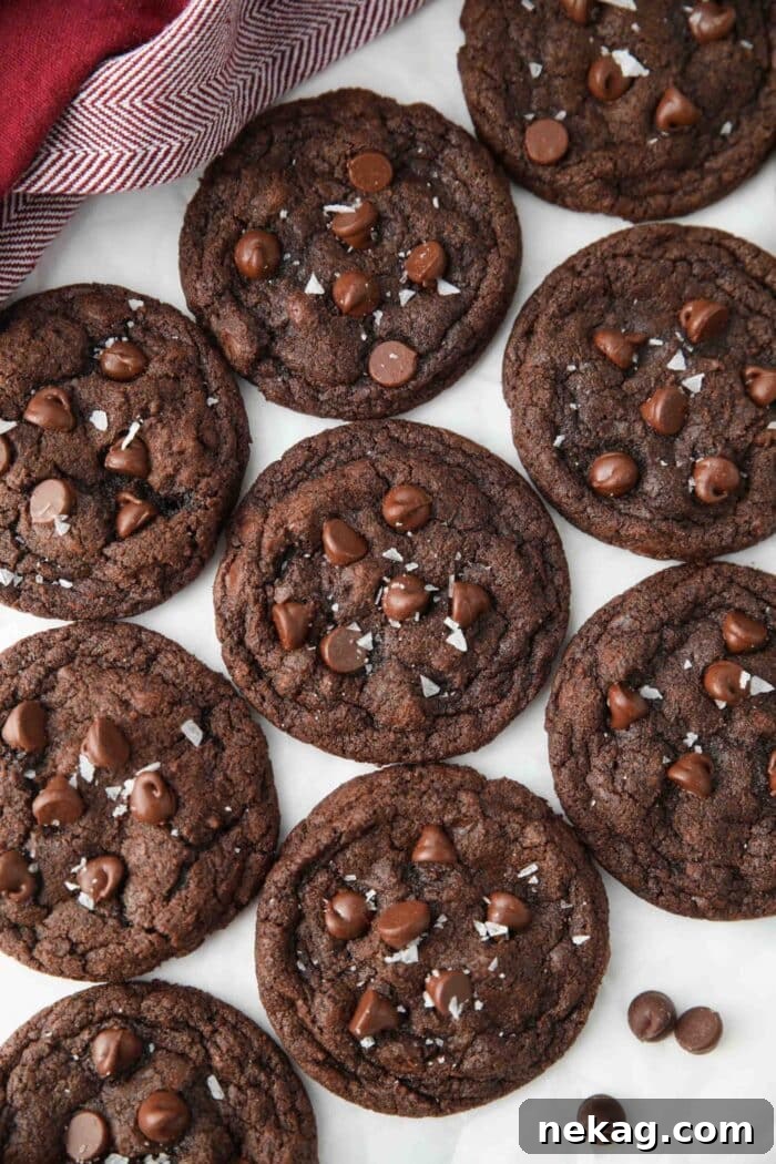 Top view of chocolate cookies with chocolate chips and sea salt.