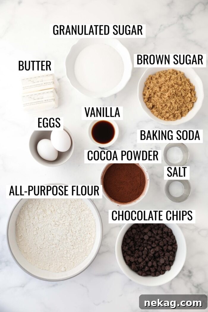 Labeled ingredients needed to make double chocolate chip cookies.