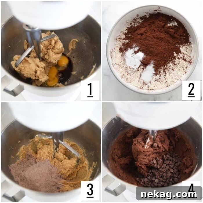 Steps to make chocolate chocolate chip cookies.
