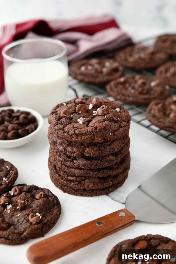Stack of chocolate chocolate chip cookies.
