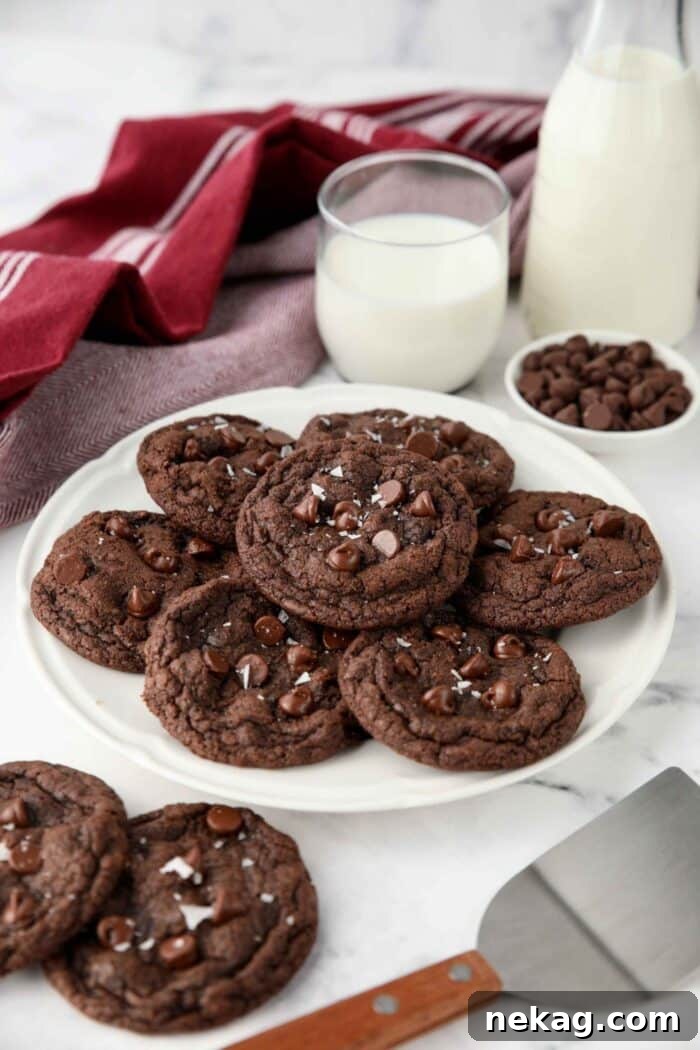 Plate of double chocolate cookies.
