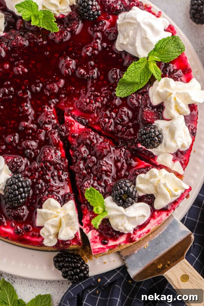 Top view of blackberry dessert recipe.