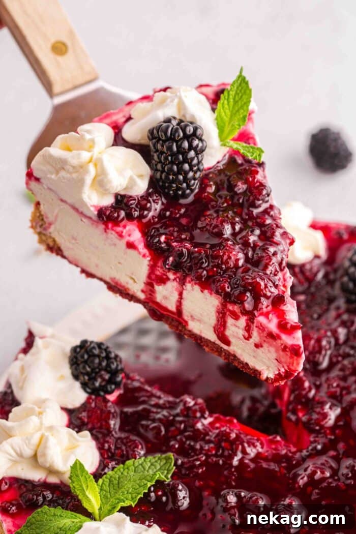 Lifting a slice of no bake blackberry cheesecake from the pan.