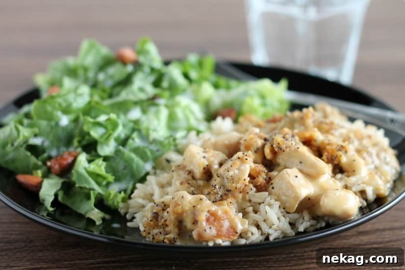 Creamy Poppy Seed Chicken Casserole Recipe 3 Poppyseed Chicken