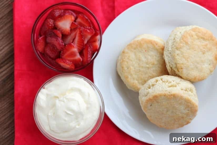 Strawberry Shortcake with Lemon Cream Sauce