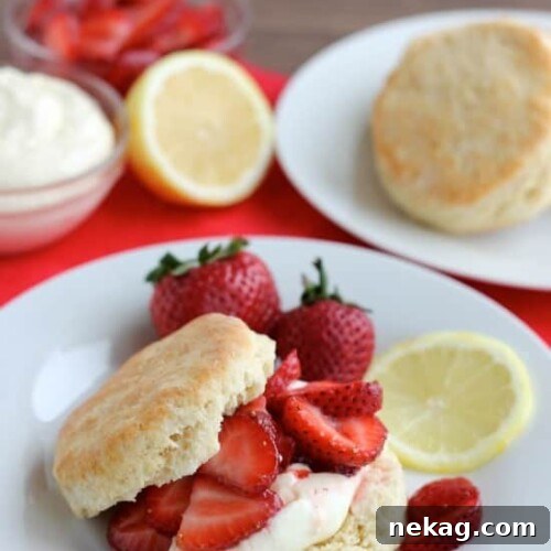 Strawberry Shortcake with Lemon Cream Sauce