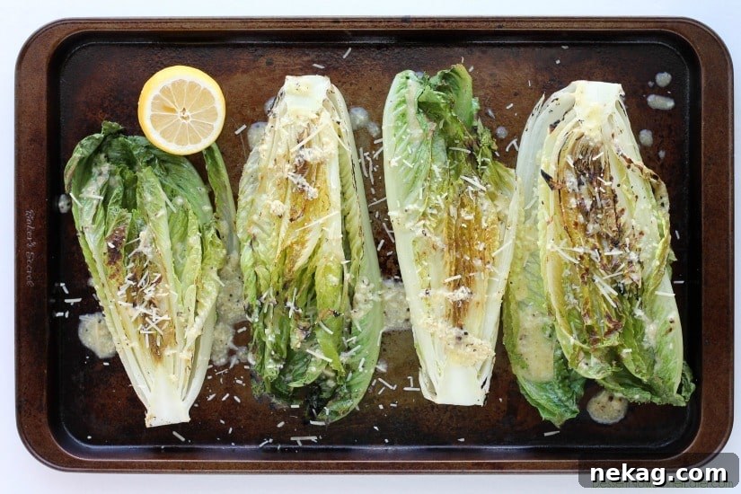 Grilled Romaine Hearts with Creamy Caesar Vinaigrette 3 Grilled Romaine Hearts with Caesar Vinaigrette