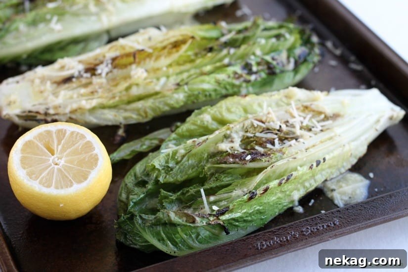 Grilled Romaine Hearts with Creamy Caesar Vinaigrette 5 Grilled Romaine Hearts with Caesar Vinaigrette