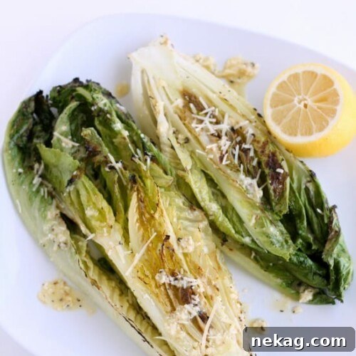 Grilled Romaine Hearts with Creamy Caesar Vinaigrette 6 Grilled Romaine Hearts with Caesar Vinaigrette