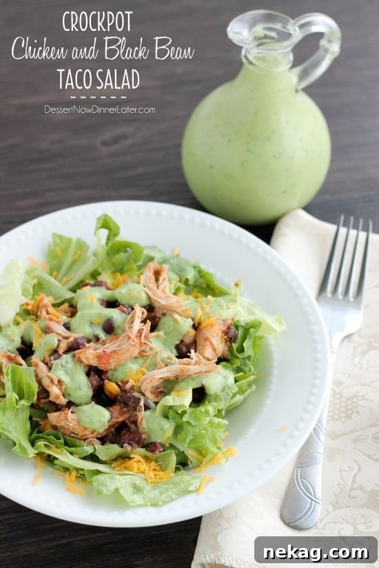 Slow-Cooker Chicken & Black Bean Taco Salad Recipe 32 Crockpot Chicken and Black Bean Taco Salad