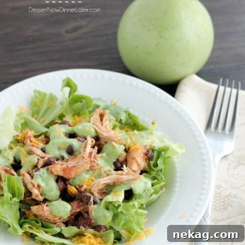 Crockpot Chicken and Black Bean Taco Salad