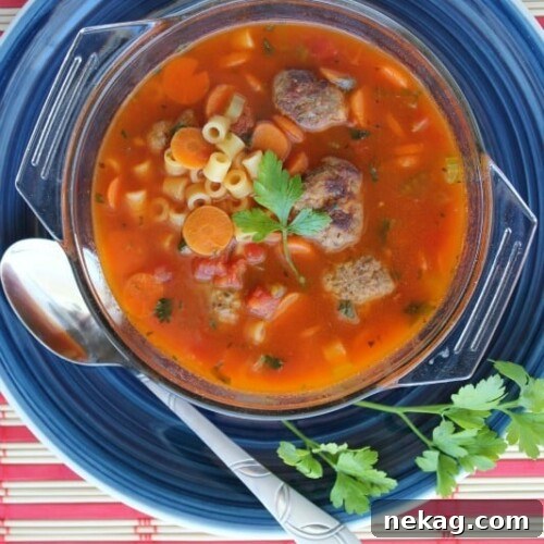 Light Italian Meatball Soup