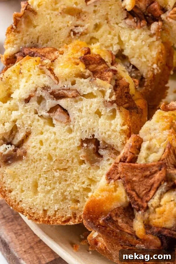 A close-up view of the interior of a Jewish apple cake showing apple slices.