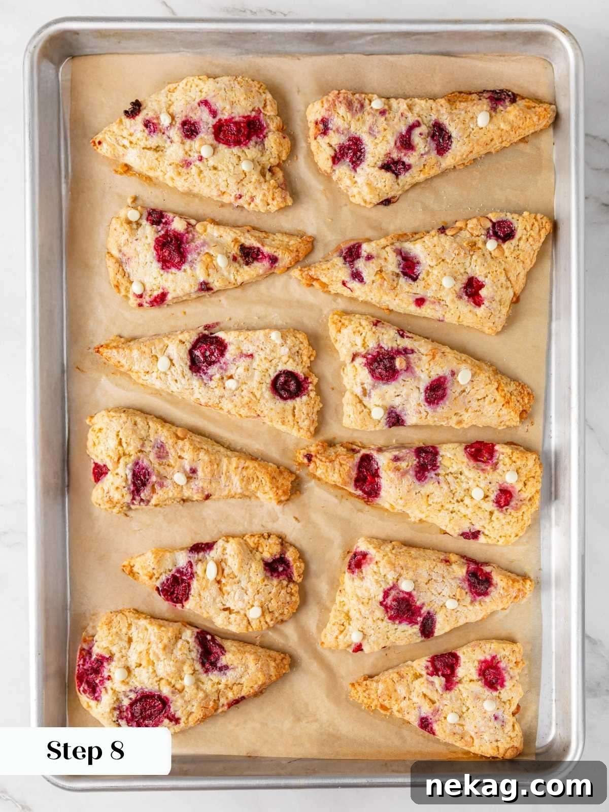 Twelve baked golden scones with caramelized white chocolate chips and raspberries on a parchment-lined baking sheet.