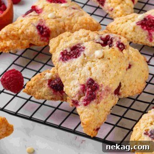 Single raspberry white chocolate scone leaning forward showing juicy raspberry pockets and sparkling sugar topping.