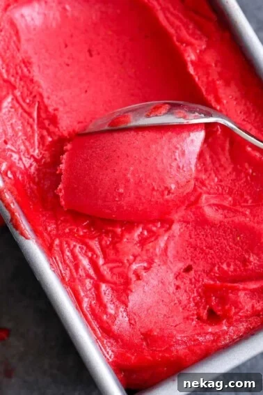 Raspberry Sorbet being scooped with a silver spoon.