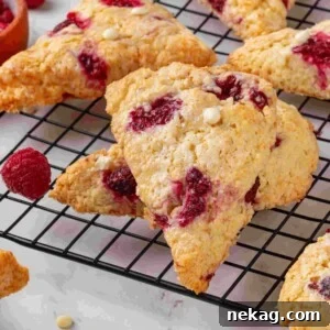 Single raspberry white chocolate scone leaning forward showing juicy raspberry pockets and sparkling sugar topping.