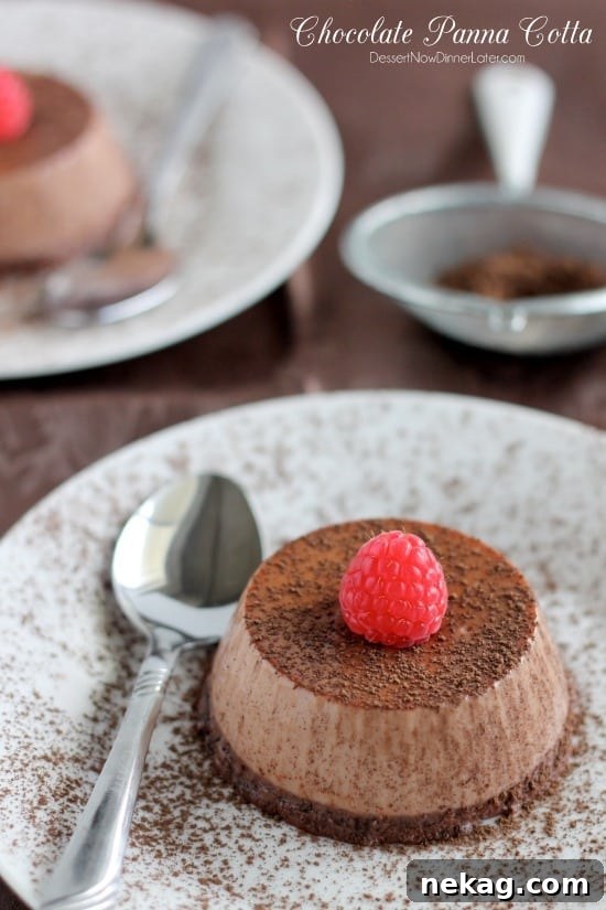 Chocolate Panna Cotta